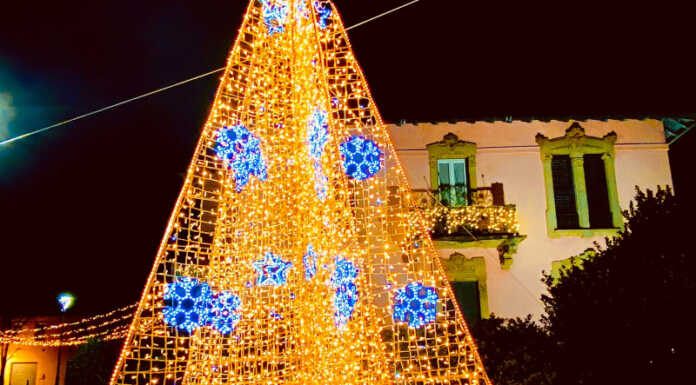 Ballabio. Il Natale prende vita: eventi e iniziative per rendere magiche le festività Ballabio albero di natale municipio