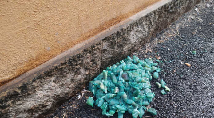 Valmadrera, attenzione: bocconi avvelenati in via Parini Valmadrera bocconi avvelenati via parini (2)