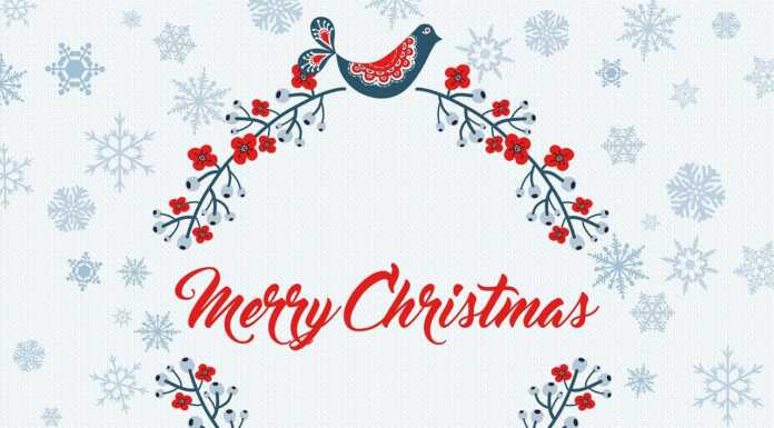 Buon Natale da Lecconotizie.com! natale