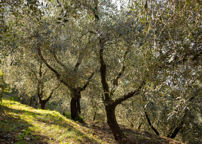 Foto di Carlo Borlenghi