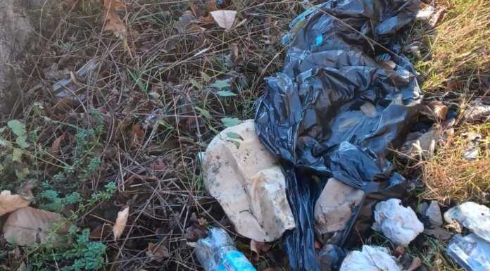 “Il sentiero per la chiesetta di Versasio è una discarica”: la segnalazione di una lettrice