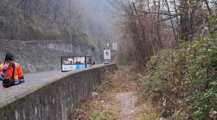 Discarica abusiva a Versasio, ripuliti i boschi ai lati della nuova Lecco-Ballabio pulizia rifiuti versasio ss36