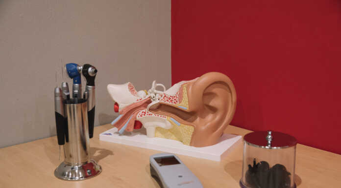 Cellule cigliate esterne: cosa sono e perché sono fondamentali per il nostro sistema uditivo