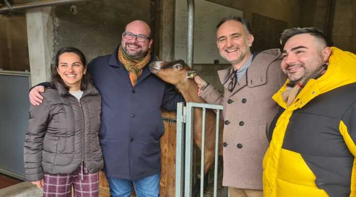 Agricoltura: entro marzo copertura vaccinale contro la blue tongue
