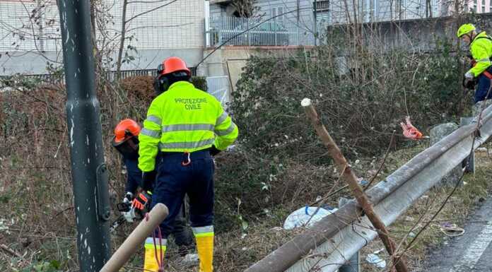 Calolzio. La Protezione Civile al lavoro sul torrente Gallavesa