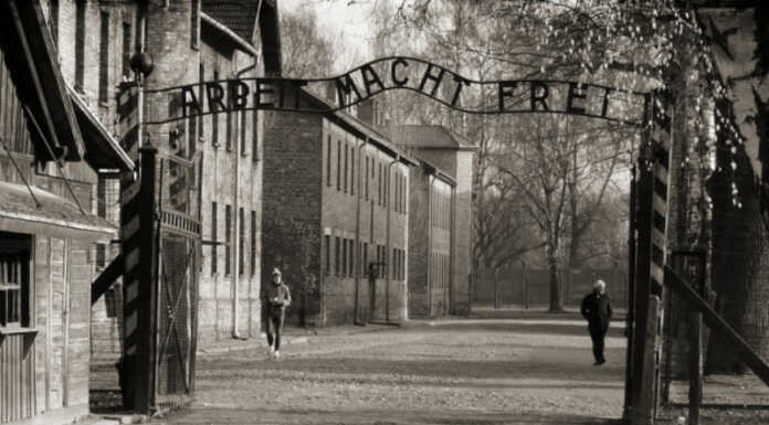 Oggi, 27 gennaio, si celebra il Giorno della Memoria in ricordo delle vittime dell’Olocausto