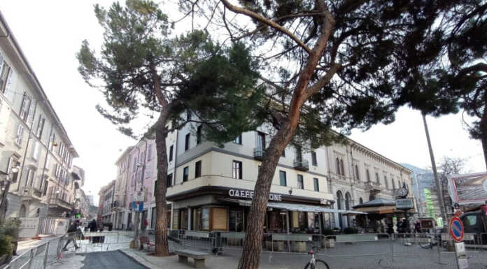 Lecco. I pini del “Cantun di Ball” sono salvi, positivo l’esito delle verifiche Lecco Pini Cantun di Ball