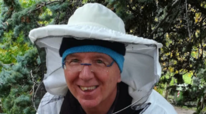 UNI3 Valsassina: cercasi interessati a un corso sull’allevamento delle api