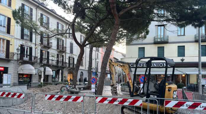 In Piazza Garibaldi i lavori per la rimozione delle radici dei pini