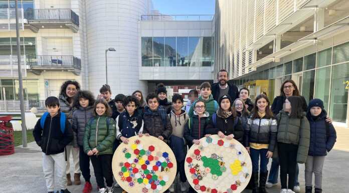 MFL STEM Academy, le forme della natura alla base di scienza e tecnologia