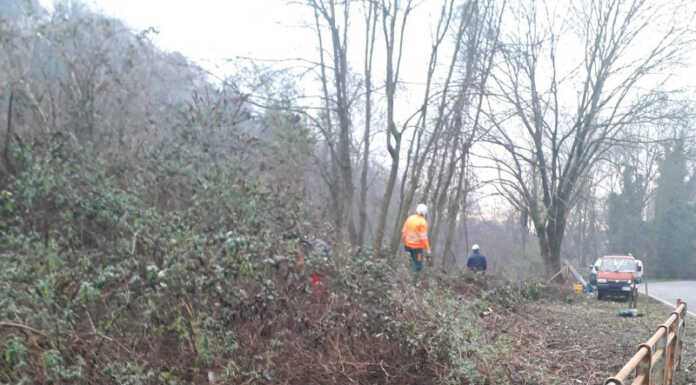 Fiumi sicuri: Airuno e Valgreghentino insieme per la pulizia del Tolsera