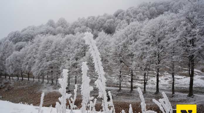 La magia della galaverna ai Piani Resinelli Galaverna ai Piani Resinelli febbraio 2025 (2)