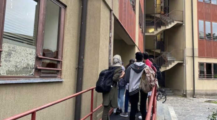 Al Bertacchi interventi di manutenzione per l’efficientamento energetico