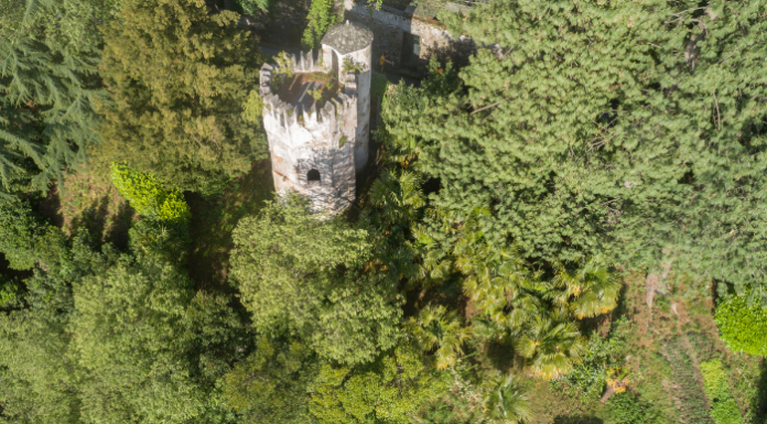 Bellano. Abbattuti cinque alberi al Parco Lorla: “Non c’era alternativa”