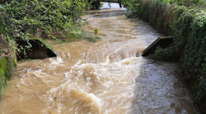 Tangenzialina di Raviola, gli ambientalisti: “Tutte le responsabilità ricadono sul Comune”