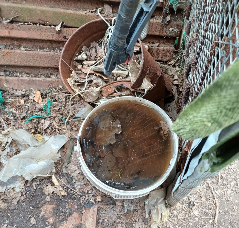 Cani sequestrati ATS Brianza