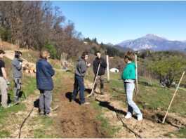 Cascina Rapello: tre corsi gratuiti per avvicinare i giovani alla filiera agricola cascina rapello