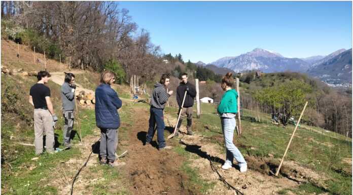 Cascina Rapello: tre corsi gratuiti per avvicinare i giovani alla filiera agricola cascina rapello