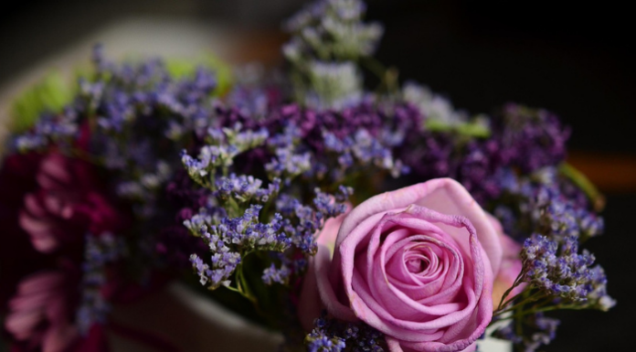 Agatha in Cammino. 8 marzo: “Risplendere al femminile: l’arte di valorizzarsi”