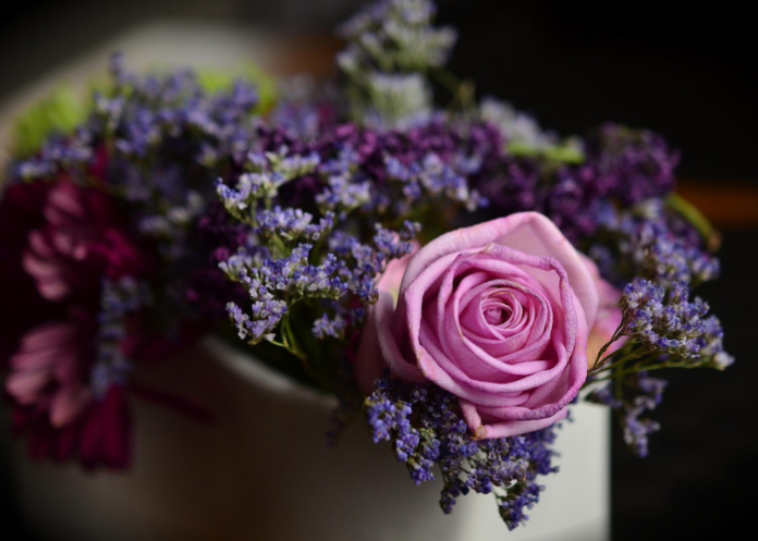 fiori-immagine-pixabay