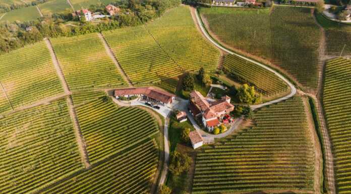 Agriturismo. Settore in buona salute, tutto pronto per le Olimpiadi 2026