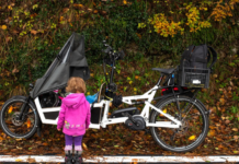 1,8 milioni di euro per la transizione climatica: finanziato il progetto “Lecco ECO Platform