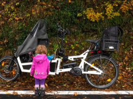 1,8 milioni di euro per la transizione climatica: finanziato il progetto “Lecco ECO Platform