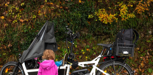 1,8 milioni di euro per la transizione climatica: finanziato il progetto “Lecco ECO Platform