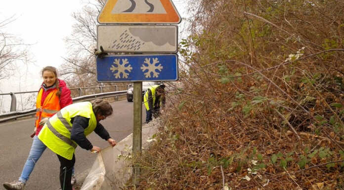 Al via la campagna di Legambiente per salvare i rospi del Moregallo