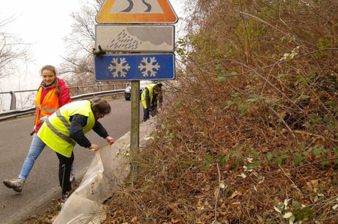 rospi-moregallo-barriere-2