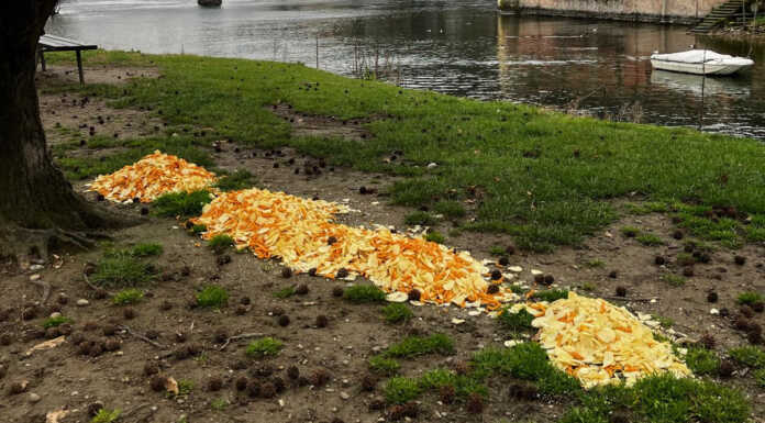 Basta cibo sulle rive dell’Adda per gli uccelli: l’appello dei residenti di Pescarenico Il cibo abbandonato sulle rive dell'Adda a Pescarenico