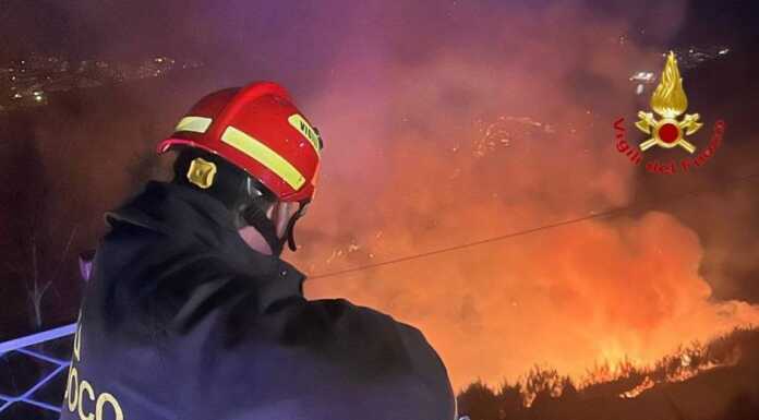 Incendio boschivo nell’Alto Lago, impegnati anche i Vigili del Fuoco di Bellano