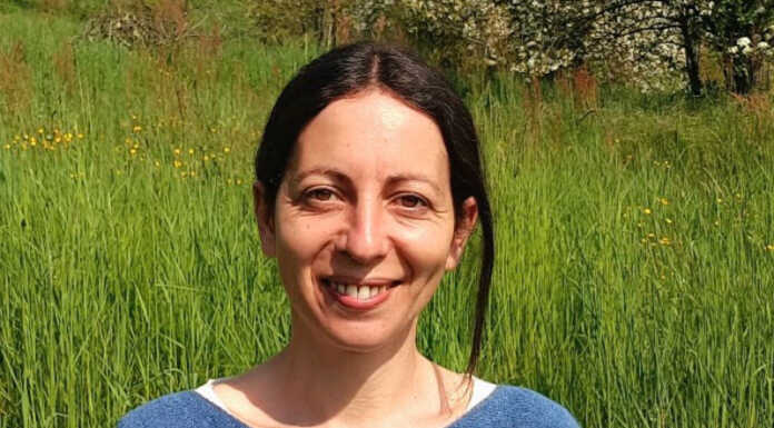 Parco del Curone, Mariella Nicastro è la nuova direttrice