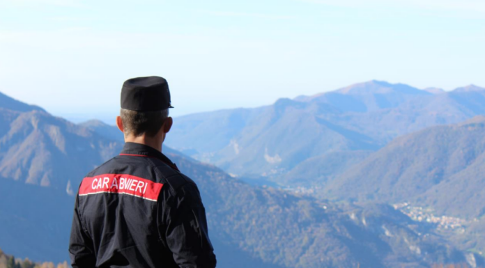 Bellagio. Scoperto un allevamento di cani clandestini