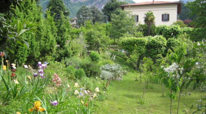 Il Giardino Botanico di Villa de Ponti: uno scrigno di biodiversità a Calolzio