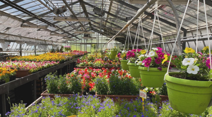 Torna Montessori in Fiore: un evento di incontro, creatività e solidarietà