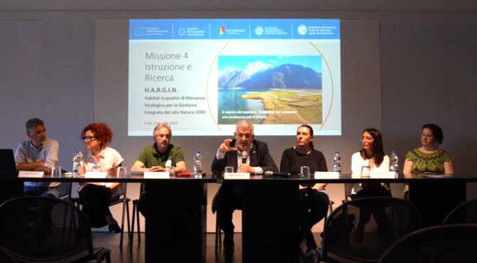 H.A.R.G.I.N: il progetto per preservare la biodiversità del Pian di Spagna