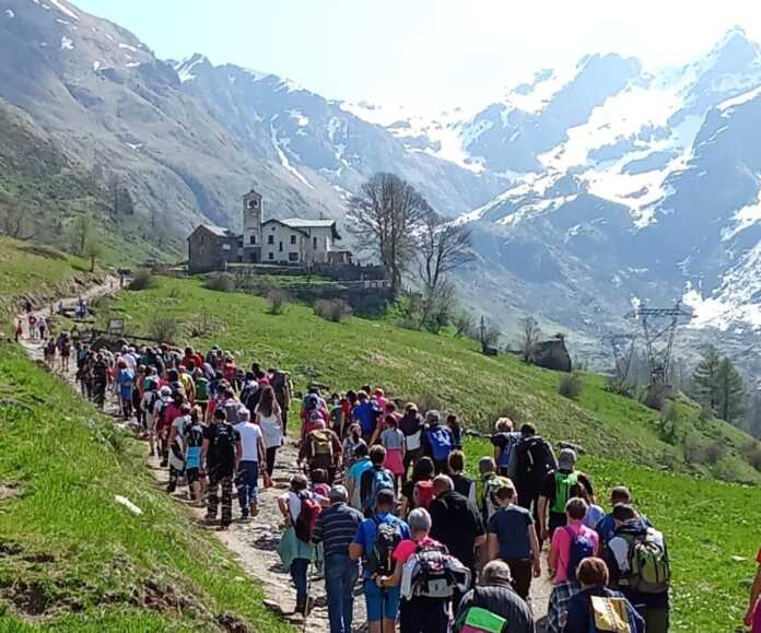 Introbio_biandino_maggio