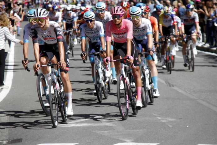 Maglia Rosa Giro Italia Lecco Maglia Rosa Giro Italia Lecco