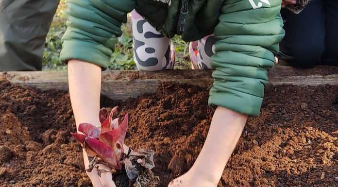 A Bonacina la mostra ecologica dei bambini della Piloni: “I custodi del fiume”
