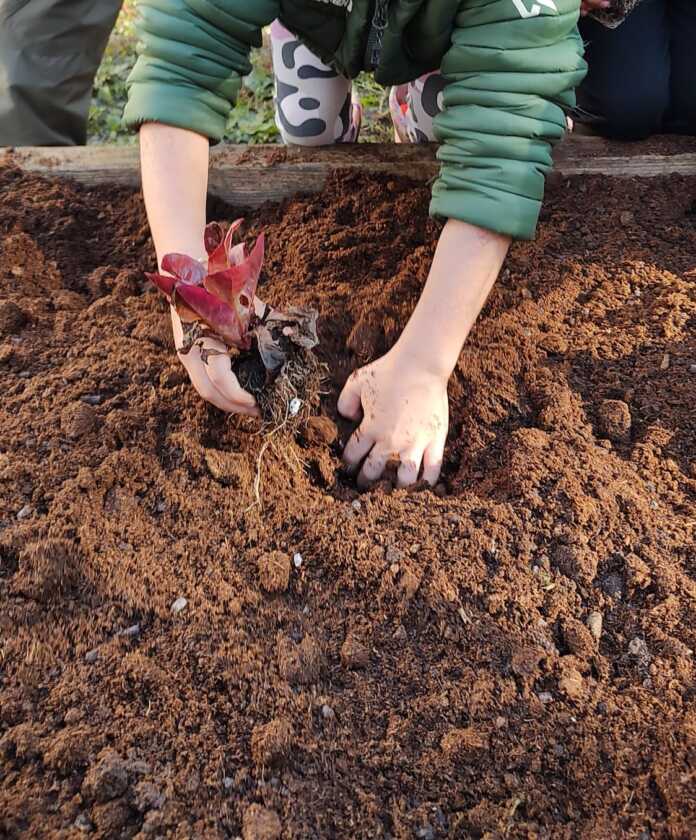 I Custodi del Fiume_Lecco_2025