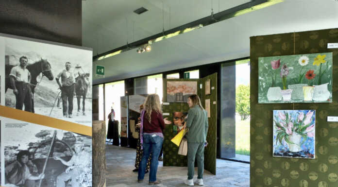 Barzio, inaugurata la mostra al femminile “Tra cuore e colori: le donne dipingono il mondo” Tra cuore e colori: le donne dipingono il mondo