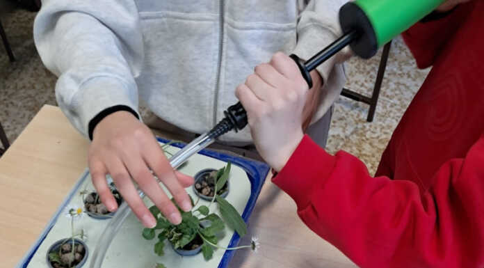 Giornata “Verde Pulito” a Civate: impegno ambientale per gli studenti delle medie Civate Giornata Verde Pulito