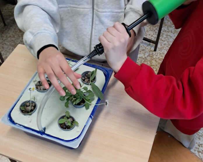 Civate Giornata Verde Pulito