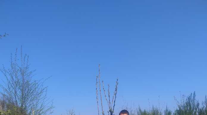 Ad Airuno un corso formativo dedicato a orto, erbe e apicoltura