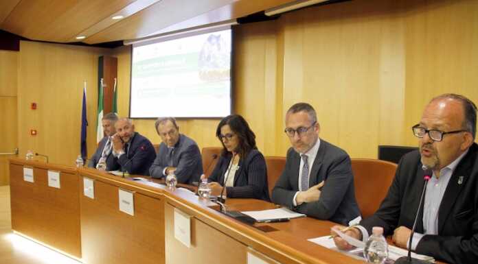 Lavoro, il rapporto annuale tra rallentamenti nel manifatturiero e ricerca urgente di giovani