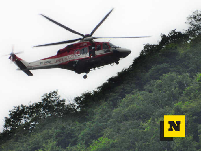 Drago San Martino (4) Drago San Martino