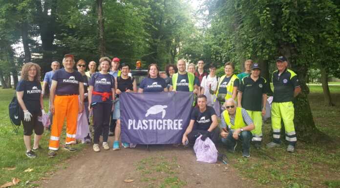 Lomagna, successo per plastic free tra rifiuti e nidi di rondini Lomagna plastic free