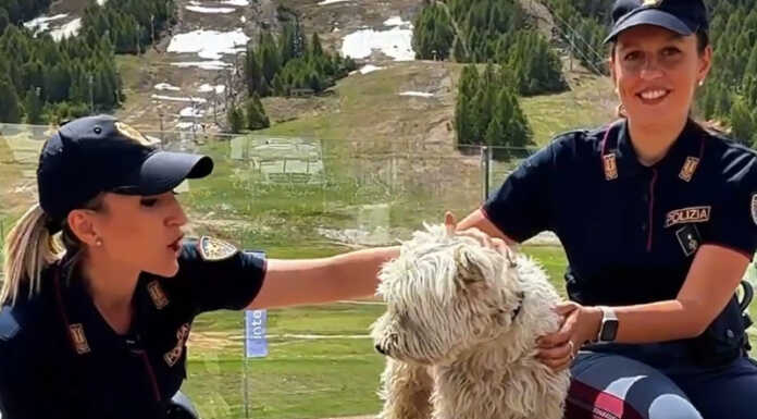 Il nuovo spot della Polizia di Stato contro l’abbandono degli animali