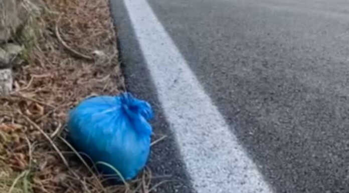 Rifiuti abbandonati a Ballabio, individuata la colpevole Ballabio abbandono sacchi blu rifiuti